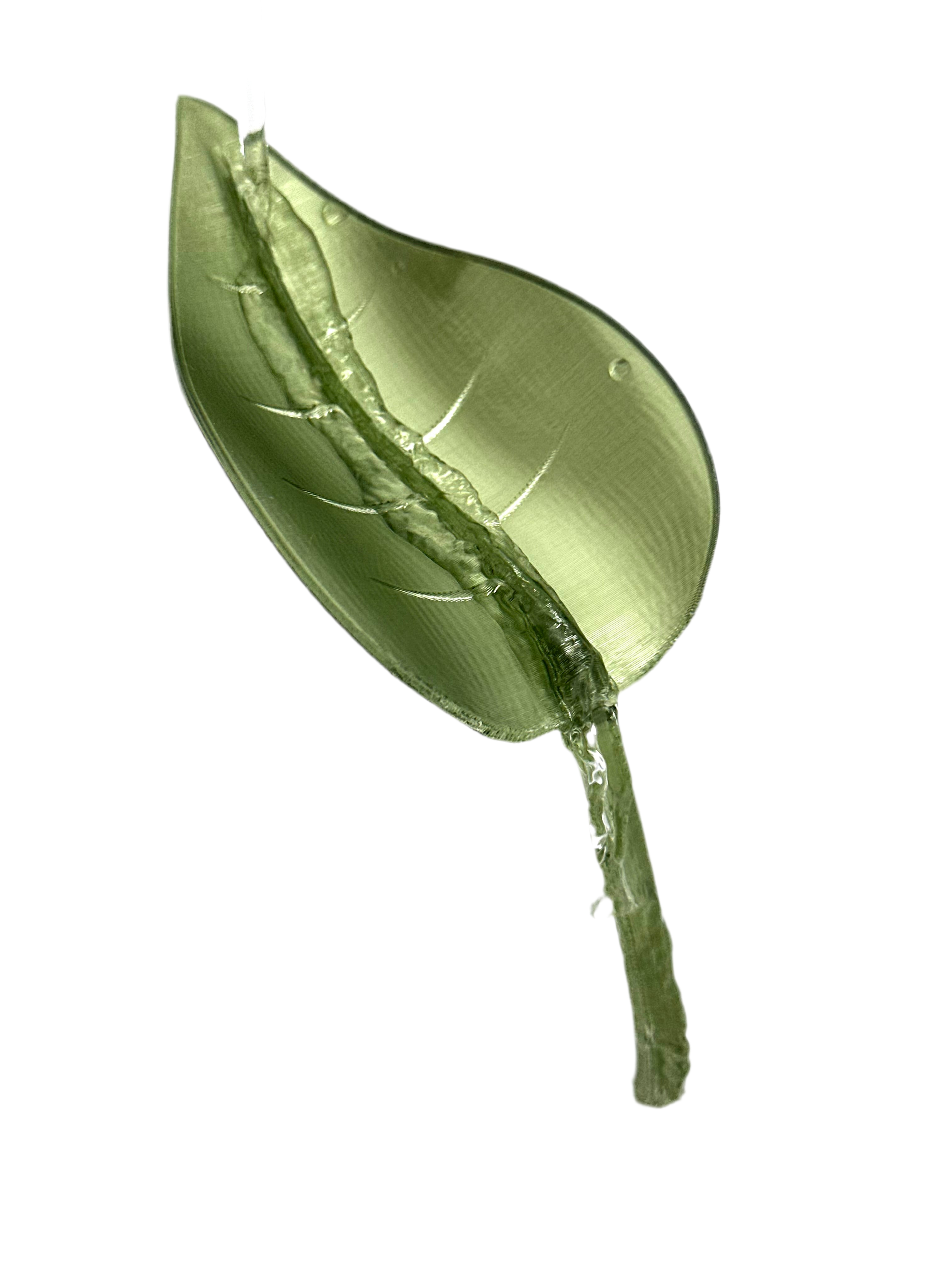 Easy Watering - Leaf