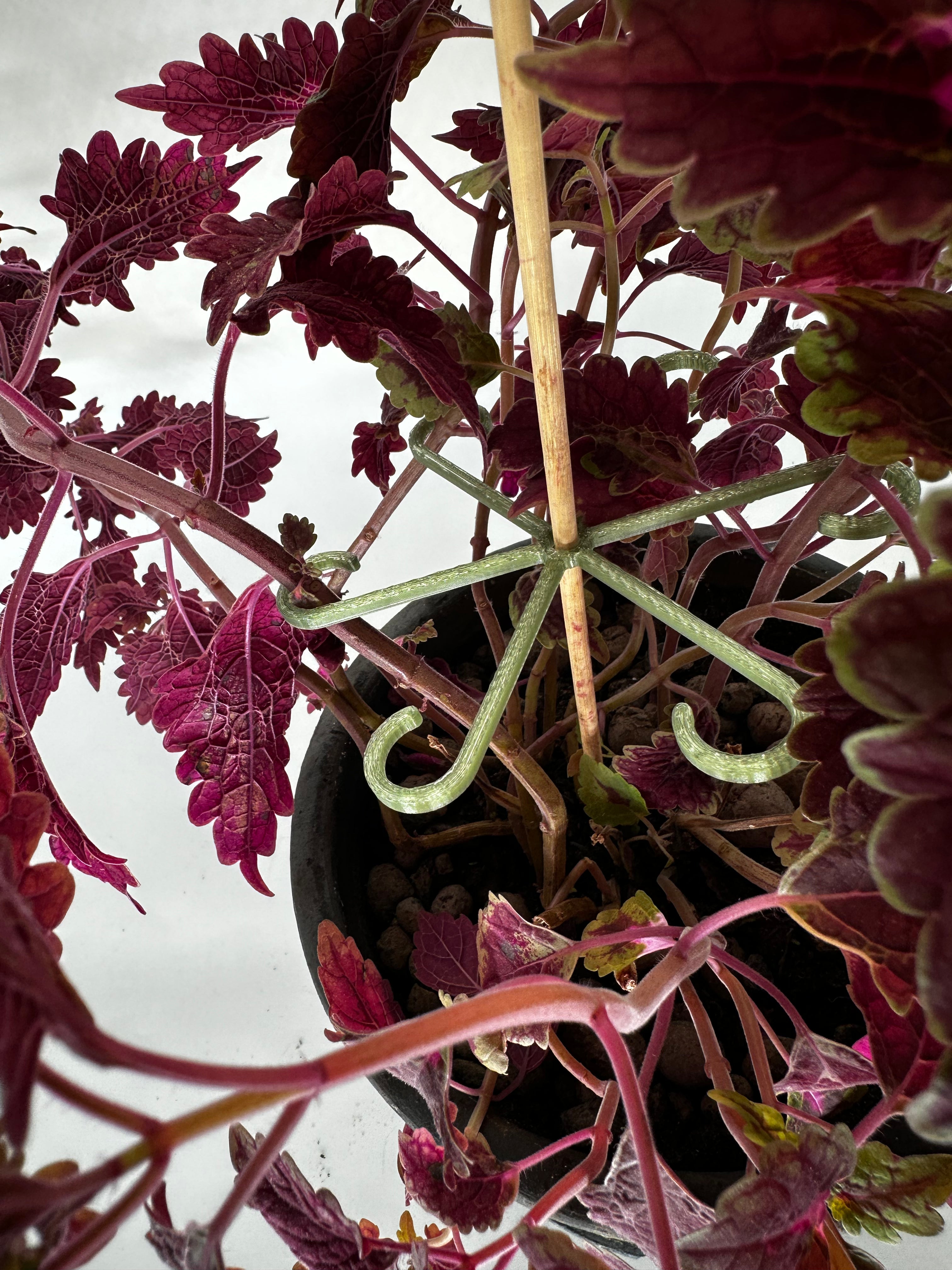 Easy Watering - Hooks