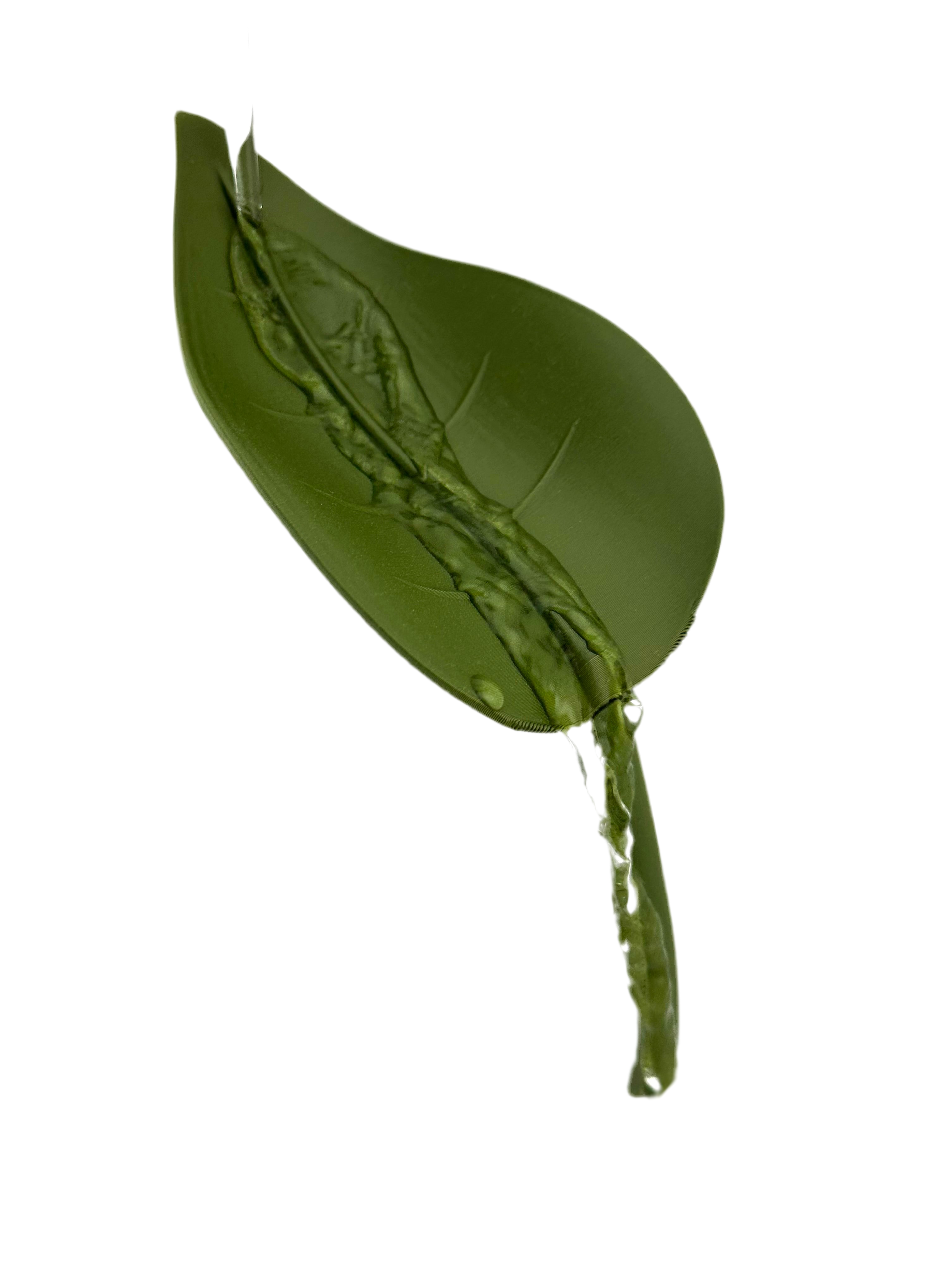 Easy Watering - Leaf